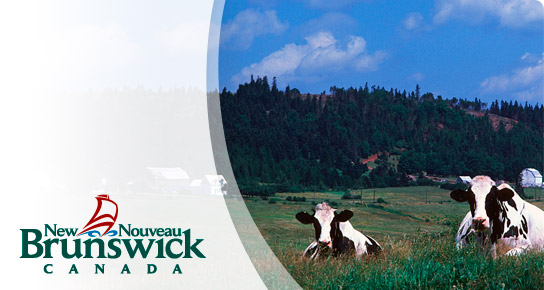 Human Rights Commission / Commission des droits de la personne du Nouveau-Brunswick