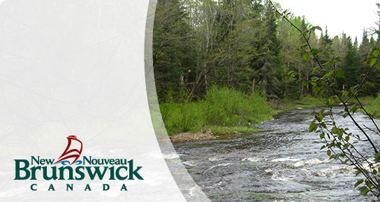 Human Rights Commission / Commission des droits de la personne du Nouveau-Brunswick