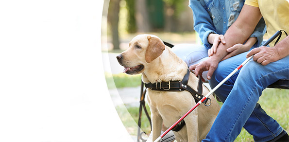 Plan d’action pour les personnes ayant un handicap au Nouveau-Brunswick : 